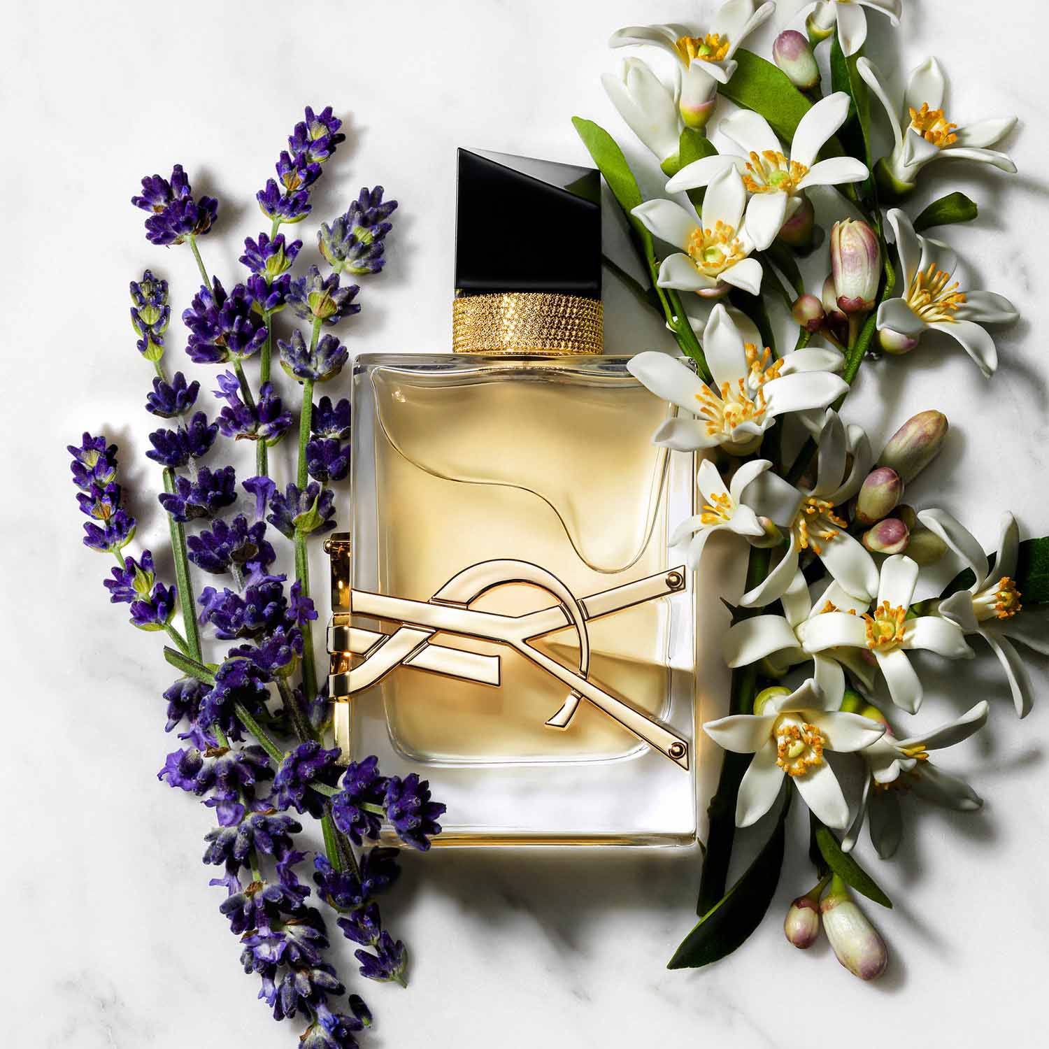 LIBRE EAU DE PARFUM